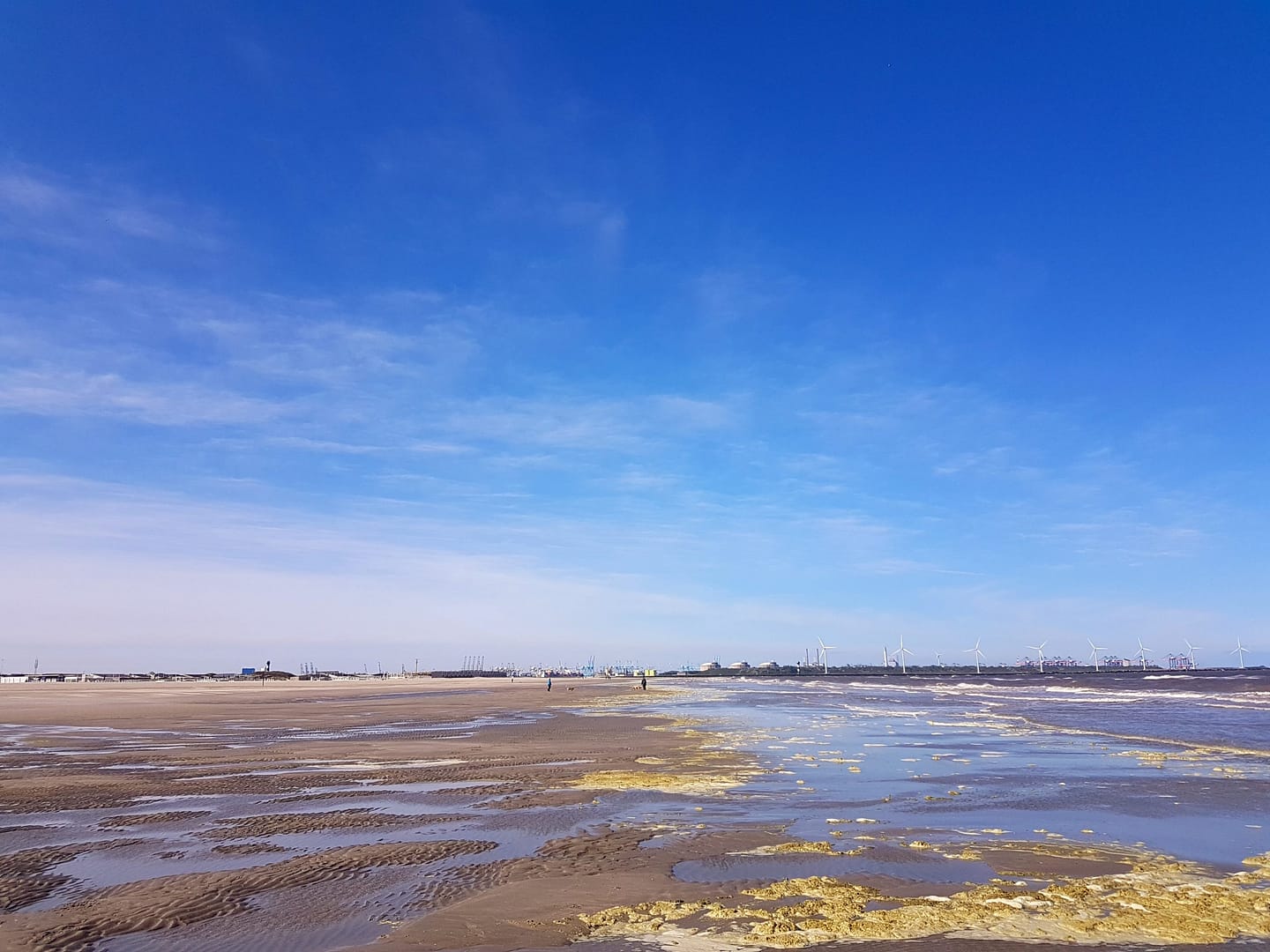 The Sea, Hoek van Holland, Netherlands